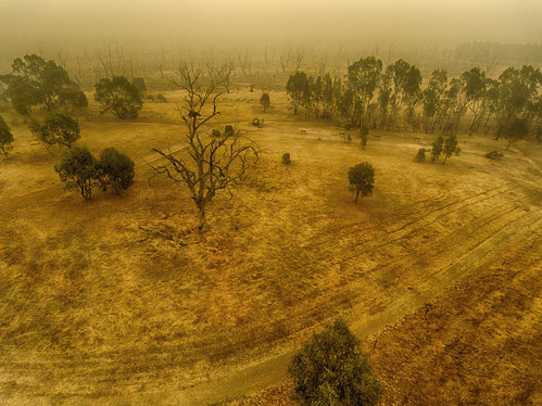 wintonwetlands wetlands drone tree smoke