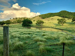 Antiguan Countryside