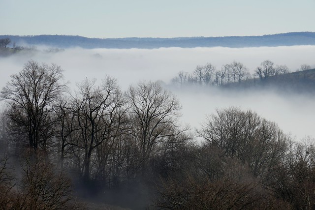 Mer de nuages un matin de janvier, Bosdarros, Béarn, Pyrénées Atlantiques, Nouvelle-Aquitaine, France.