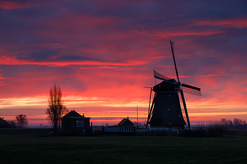 maasland zuidholland netherlands winter dutch holland nederland windmill grondzeiler polder sunrise house