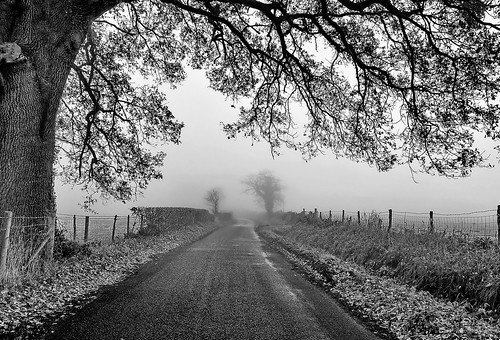 Frensham Lane . | Frensham lane coming from the village of L… | Flickr