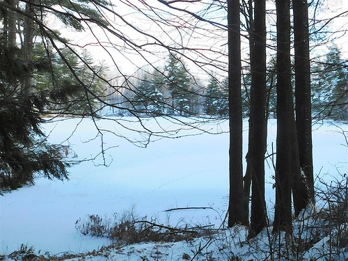 sandranestle winter snow vistas january tress forests ice ponds adirondacks 2020 nikon coolpix enchanted home