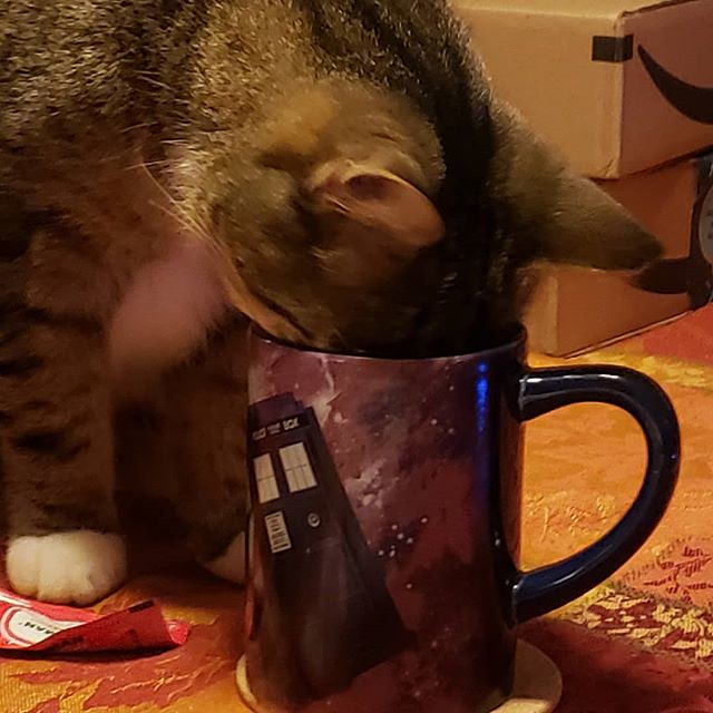 Just can't leave your #tardis mug unattended. #whatcatsdo Maybe it's #biggerontheinside #catsofinstagram #drwho