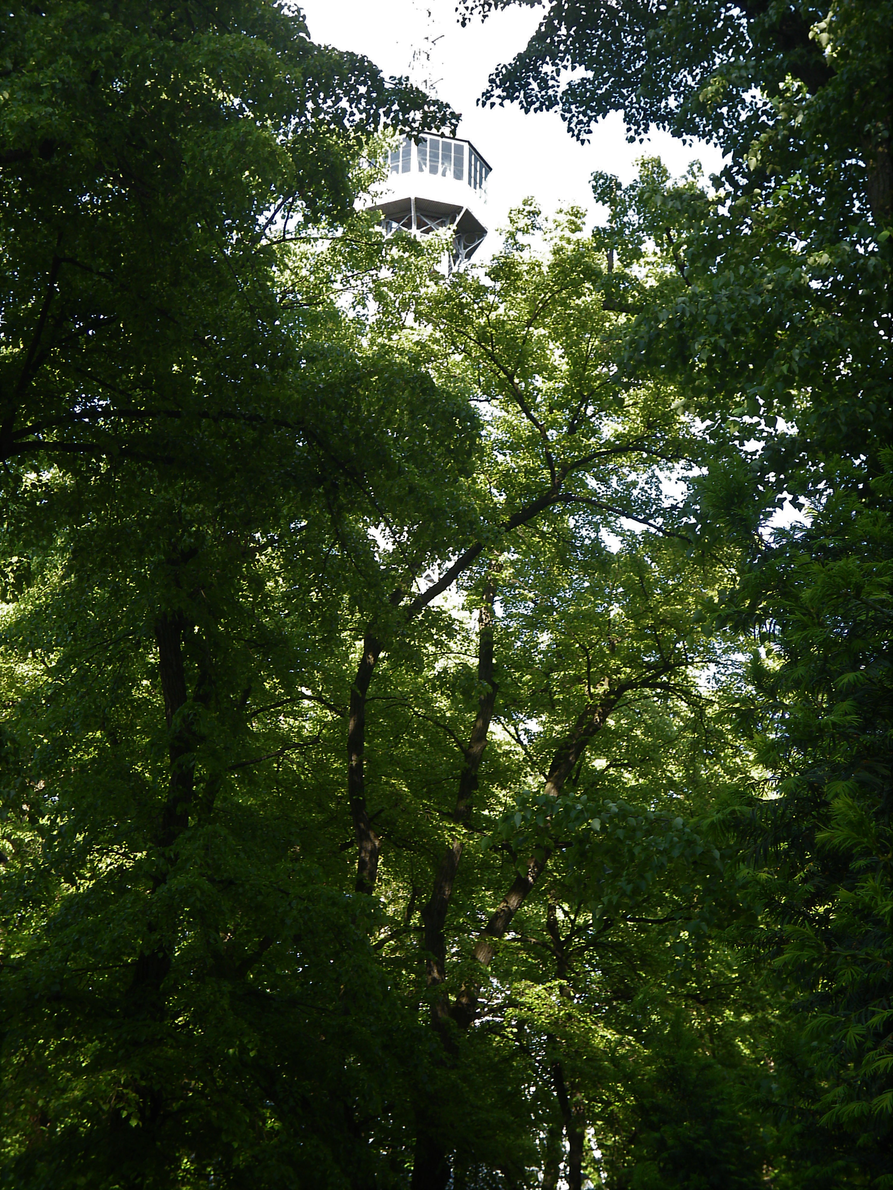 Torre Petrin 4