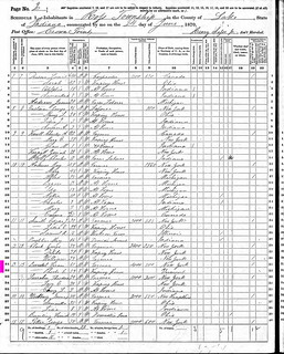 2020-01-08. Bonesteel 1870 census