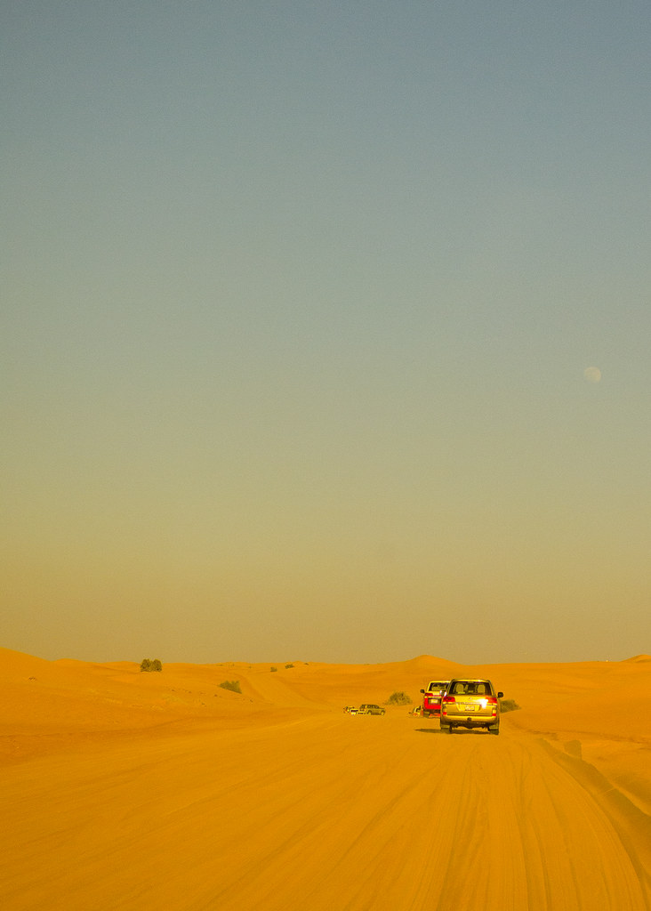 Into the desert