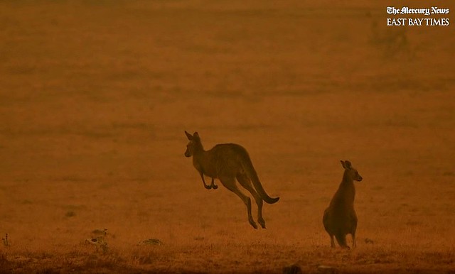 Australia Wildfires