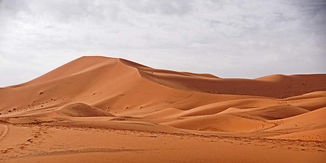 Sahara.