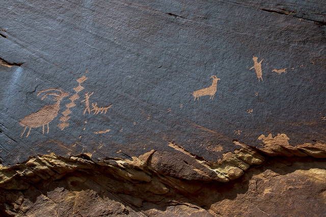 Petroglyph showing tracks