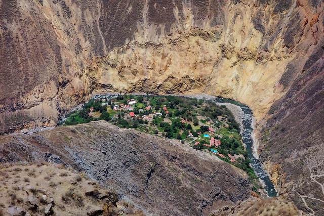 Oasis Sangalle - Walking from Mirador de Tapay to Cabanaconde - Colca Canyon, Arequipa, Peru