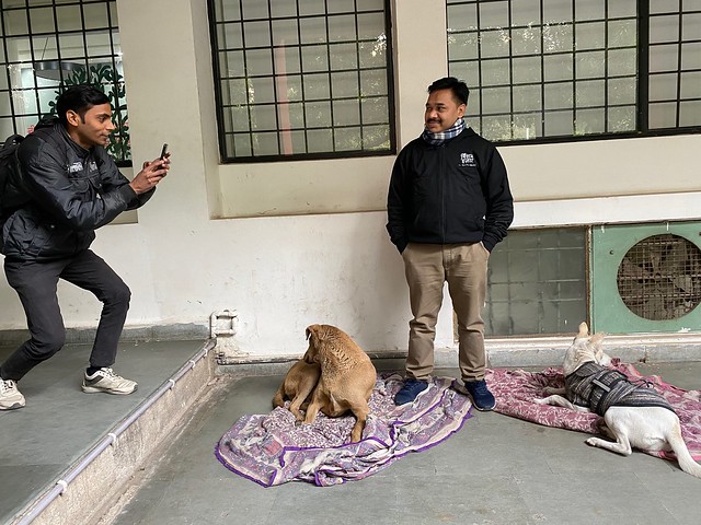 City Life - Two Dogs, Zamrudpur Community Center