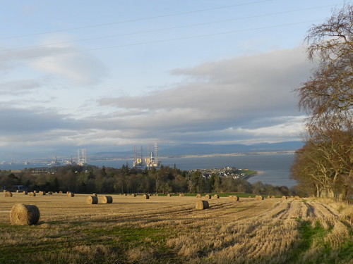 cromarty firth hay bales january trees field view black isle tracks oil rigs height village allanmaciver