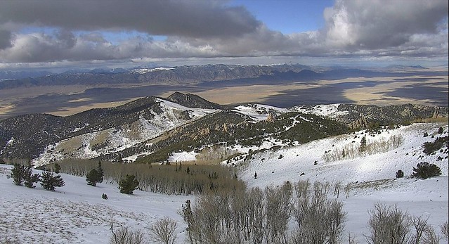 Nevada winter's morning.