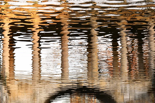 water reflection