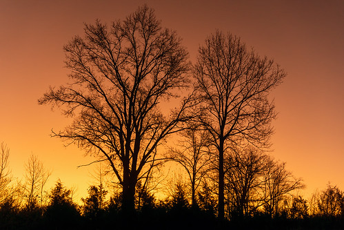 sky sunrise trees rural tennessee