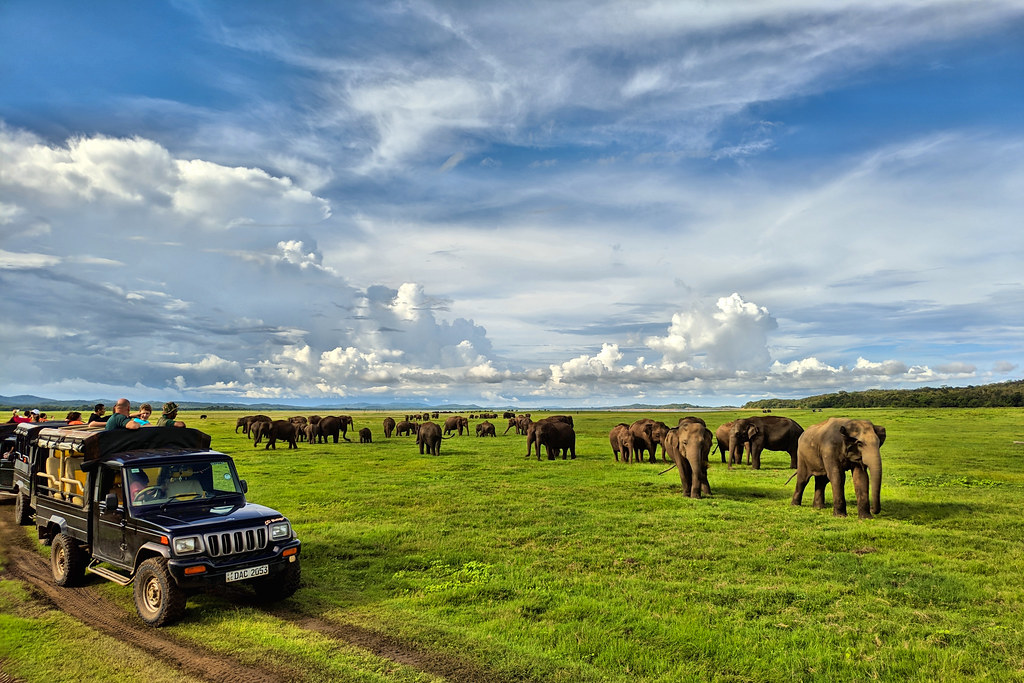 kaudulla national park jeep safari