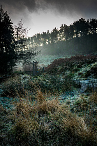 landscapes landscape winter frosty frost morning woodland wood woods nature hike hiking explored explore lancashire bolton mood mist misty outdoors wander cold