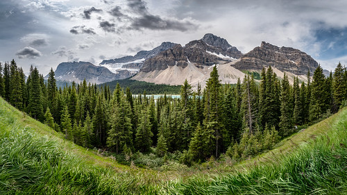 improvementdistrictno09 alberta kanada banff nationalpark mountain glacier grass trees