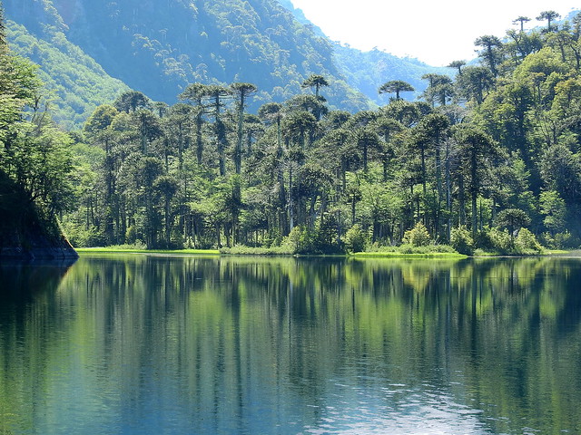 Lago El Toro