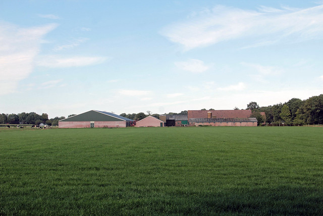 Agricultural fields, Veenhuizerveld