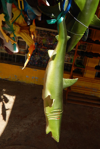 A rubber shark hangs from a shop on the way to the water taxis that take you to Isla Ixtapa near Zihuatanejo, Mexico
