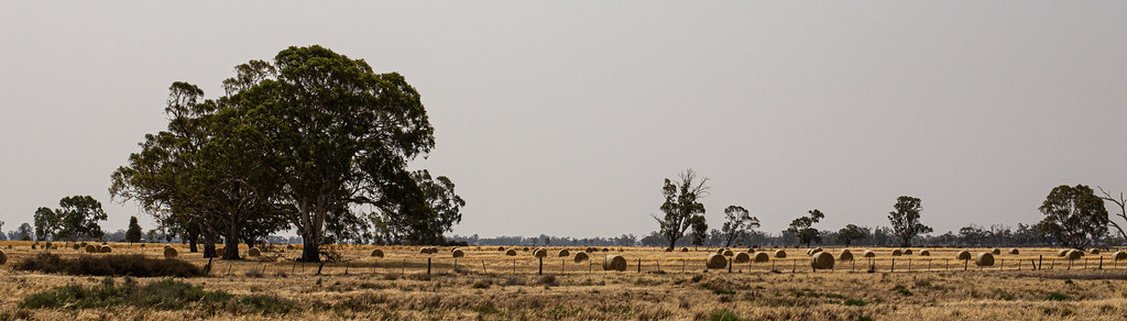 Hot and dry northern Victorian landscape with a bit of smoke haze (cropped to create a panoramic effect)