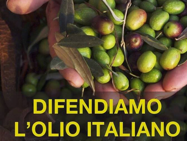 olio extravergine di oliva italiano