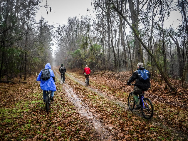 Biking the Palmetto Trail with Lowcountry Unfiltered