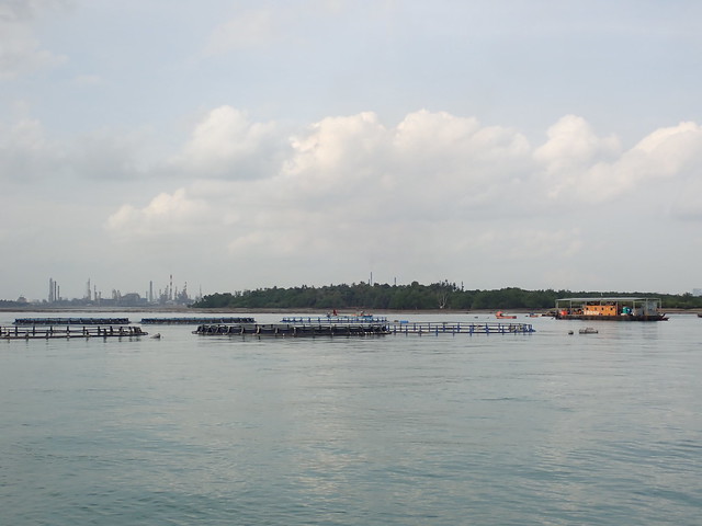 Fish farm off Pulau Semakau (South)