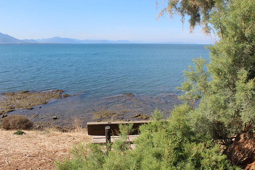 sea landscape tree bench seaside beach greece evia artaki ελλάδα αρτάκη θάλασσα