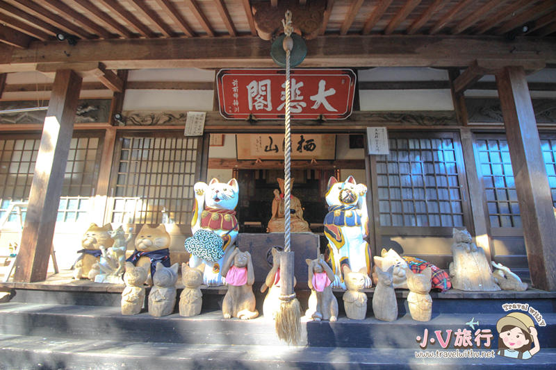 山口縣景點 日本在地人推薦 七個山口縣景點＆體驗 雲林寺 貓寺