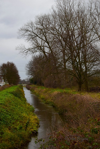 water wasser outdoor landscape view natuur nature limburg belgië amateurphotography nikon d5300 limburgslandschap