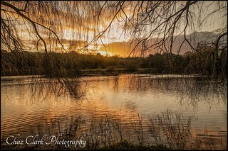 Sunset at Anton lakes Andover Hampshire UK 12/01/20