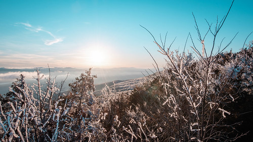 Icy sunset. Mount Magazine State Park. Arkansas. 2020. by BradSimsPhoto, nikon winter nikkor1424mm nature d500 naturalstate nationalforest arkansas tree mountmagazine ozarkn