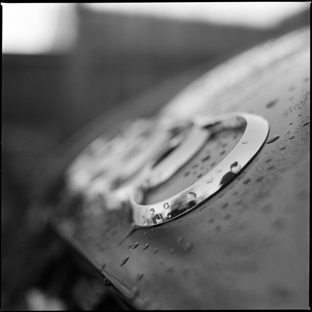 Wet Rings // Ilford FP4+ • Hasselblad 500C/M // 2019