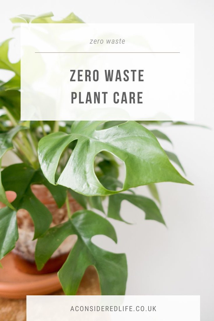 Zero Waste Plant Care and Gardening