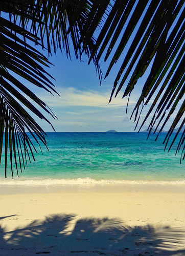 природа nature пейзаж landscape море sea пляж beach пальма palm dmilokt ins storybook thechallengegame