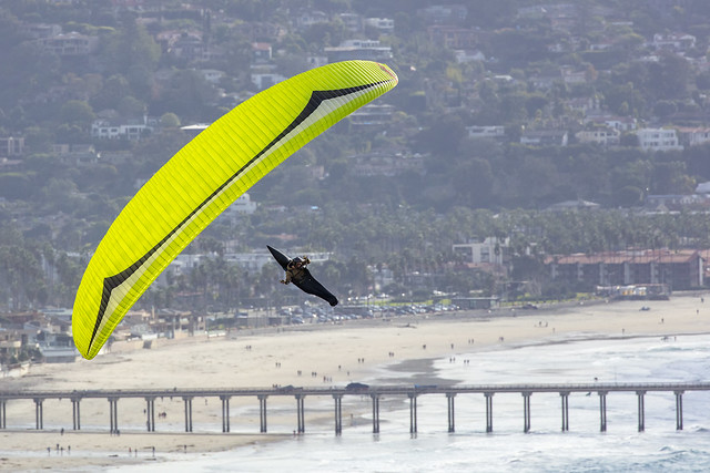 Paraglider over Blacks Beach