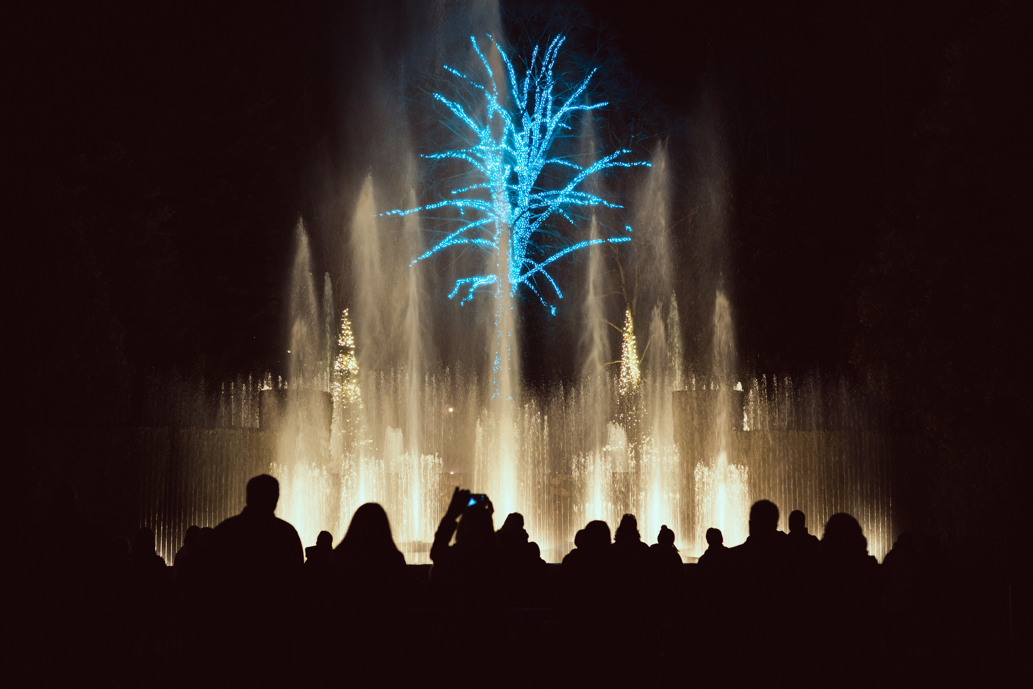 Fountain Show