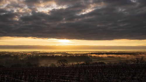 View by ZeGaby, brumes champagne fujifilm fujinon27mm landscape marne mist naturephotography paysage paysagedechampa