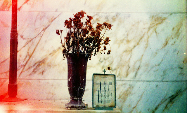 Flowers For The Dead