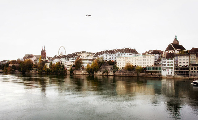 Basel behind the Rhine _9520