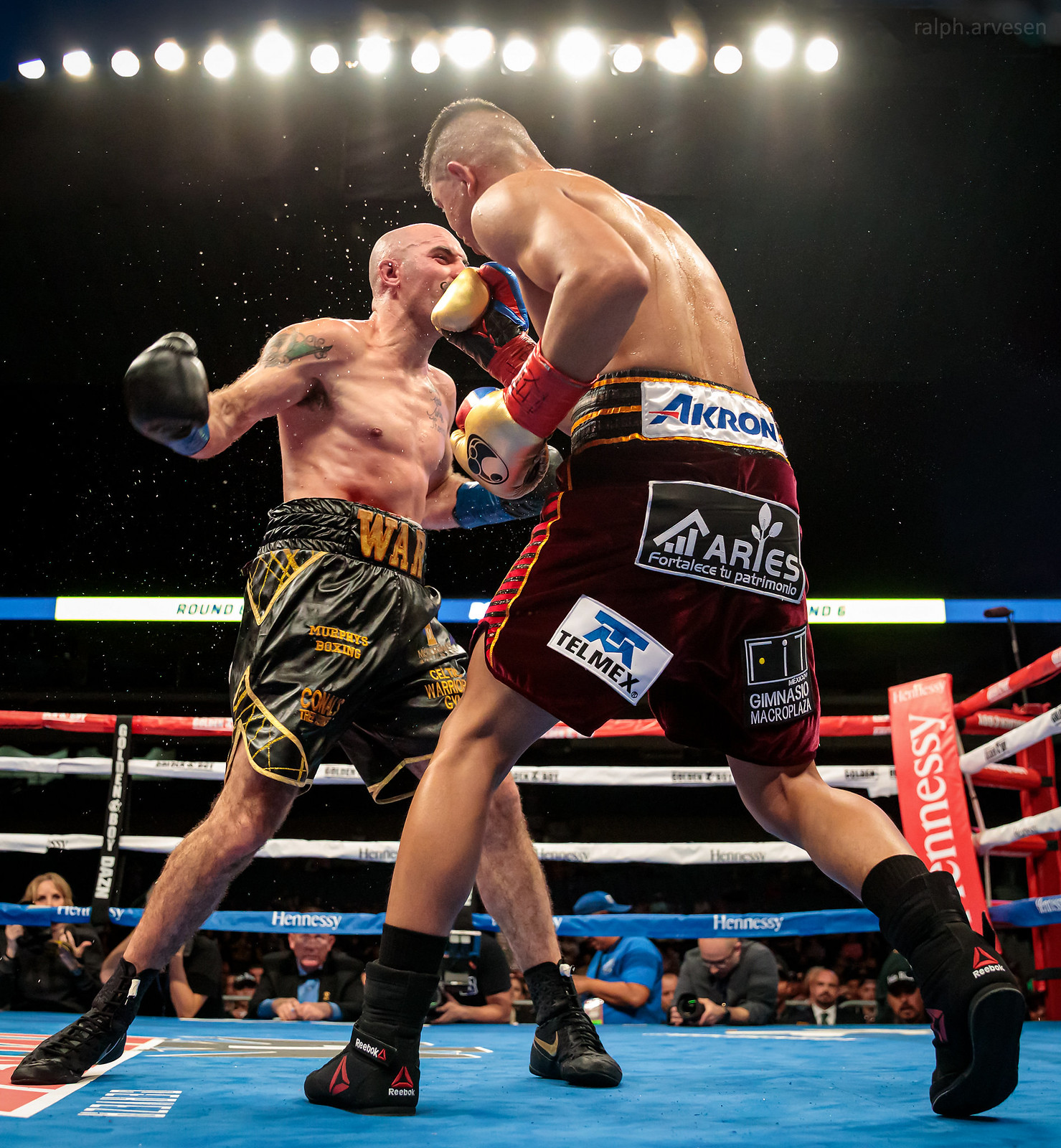 Boxing | Texas Review | Ralph Arvesen