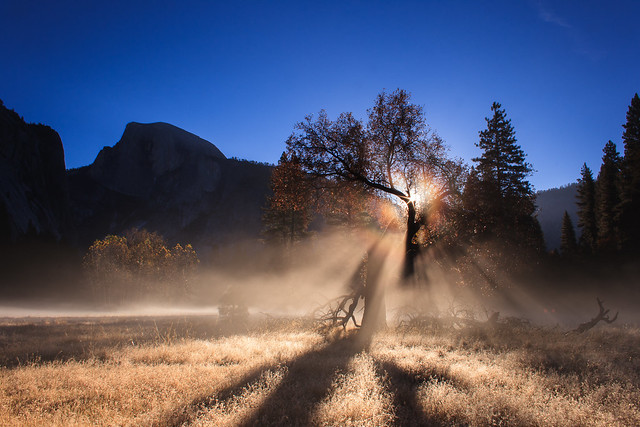 Frosty Morning Fog 'Bow in Yosemite Valley