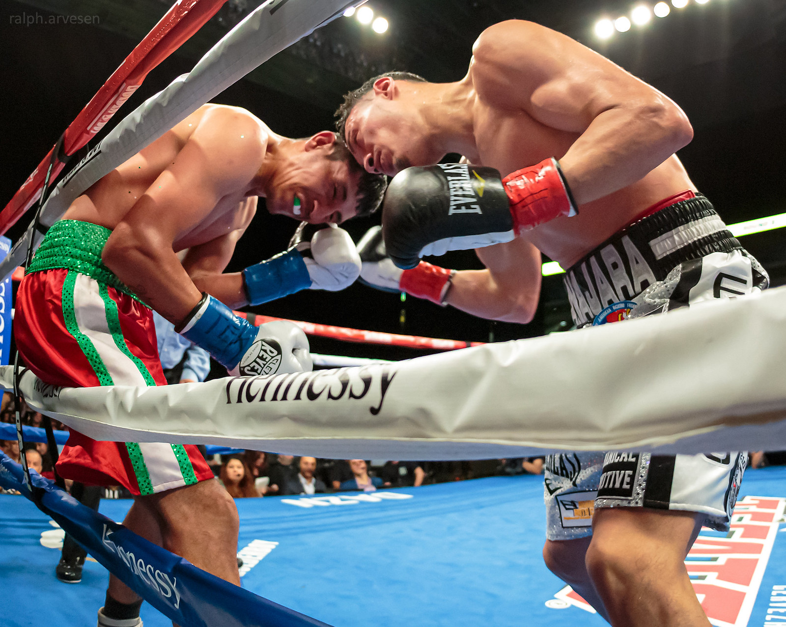 Boxing | Texas Review | Ralph Arvesen