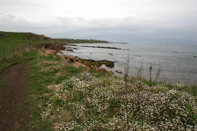 The coast near Pittenweem