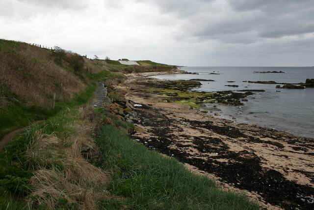 The coast near Elie