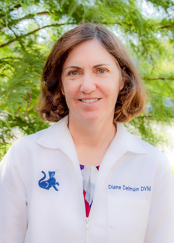 Dr. Diane Delmain of Auburn University’s College of Veterinary Medicine