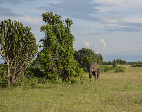 uganda queenelizabethnationalpark nationalpark