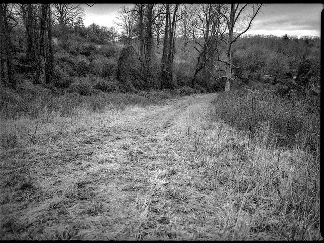 winter landscape, dirt roadway, Biltmore Estate, Asheville, NC, Mamiya 645 Pro, Kodak Tri-X 400, Moersch Eco film developer, 1.10.19